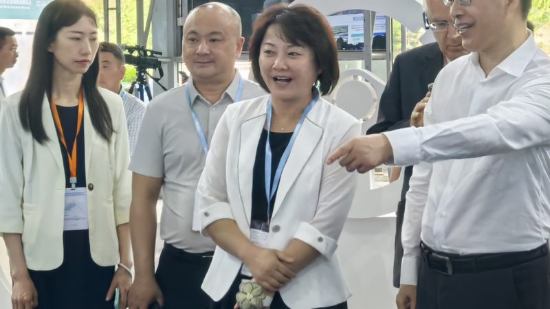 汽车配件安装流程：确保行车安全的细致步骤